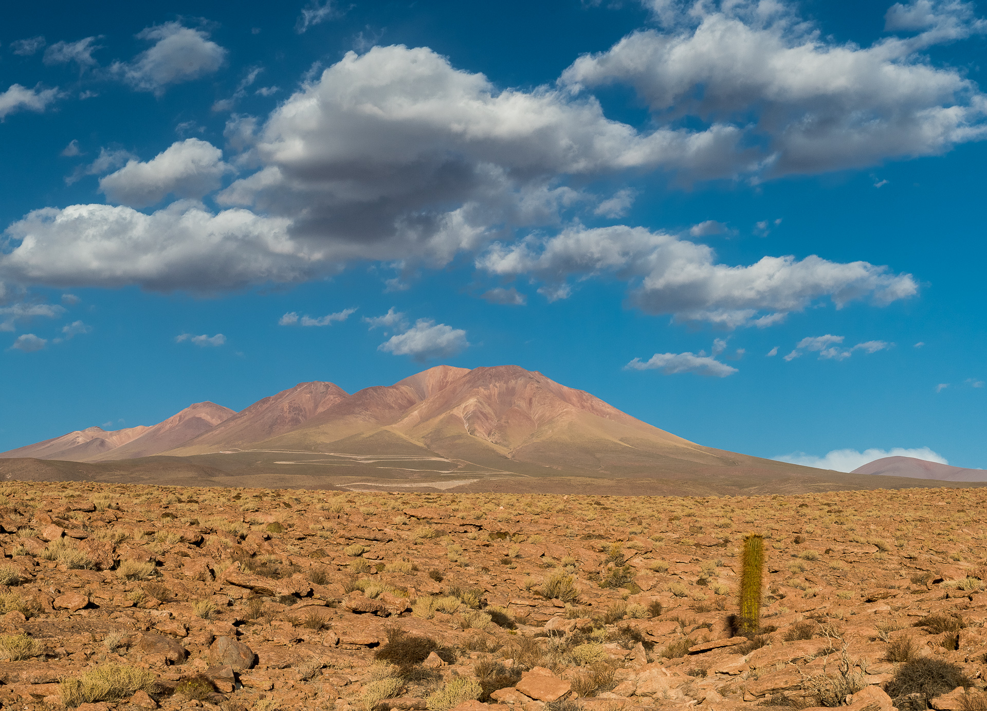 paisaje desertico del norte con cerros al fondo